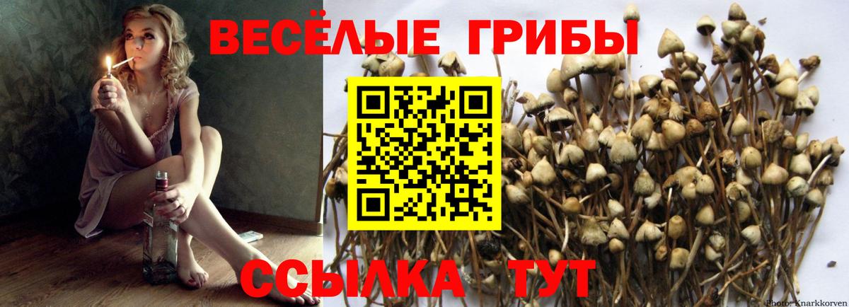 Галлюциногенные грибы мухоморы Кизилюрт