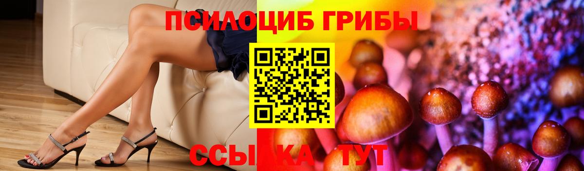 Кизилюрт  Псилоцибиновые грибы мухоморы  Галлюциногенные грибы MAGIC MUSHROOMS  Вход с VPN 